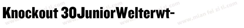 Knockout 30JuniorWelterwt字体转换